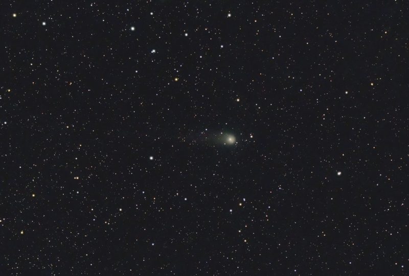 作者:Steven Bellavia