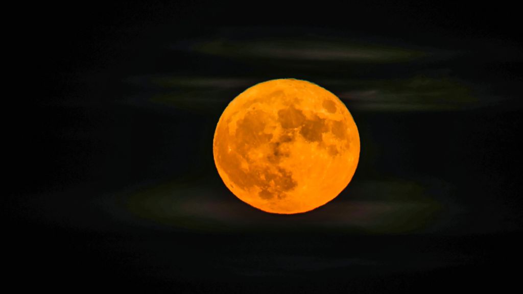 马萨诸塞州赫尔的阿勒顿角.图片来源: Lauren Owens Lambert/Anadolu Agency via Getty Images