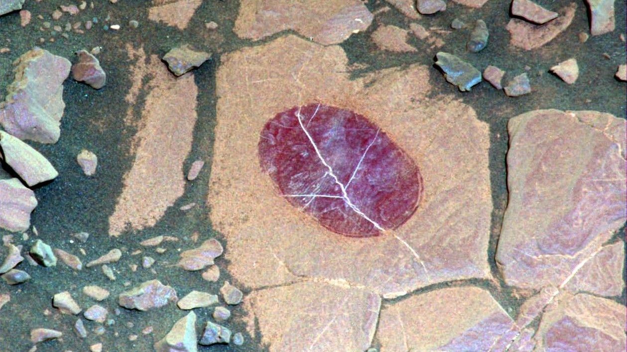 图片来源: NASA/JPL-Caltech/MSSS