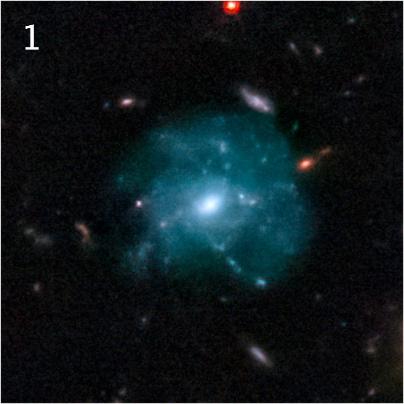 这个蓝色星系显示了恒星的形成。来源:NASA