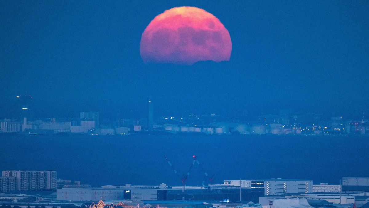 在东京的赏月活动中,从六本木新城森大楼的观察台上看到的满月。(图片来源: Philip Fong/AFP for Getty Images)