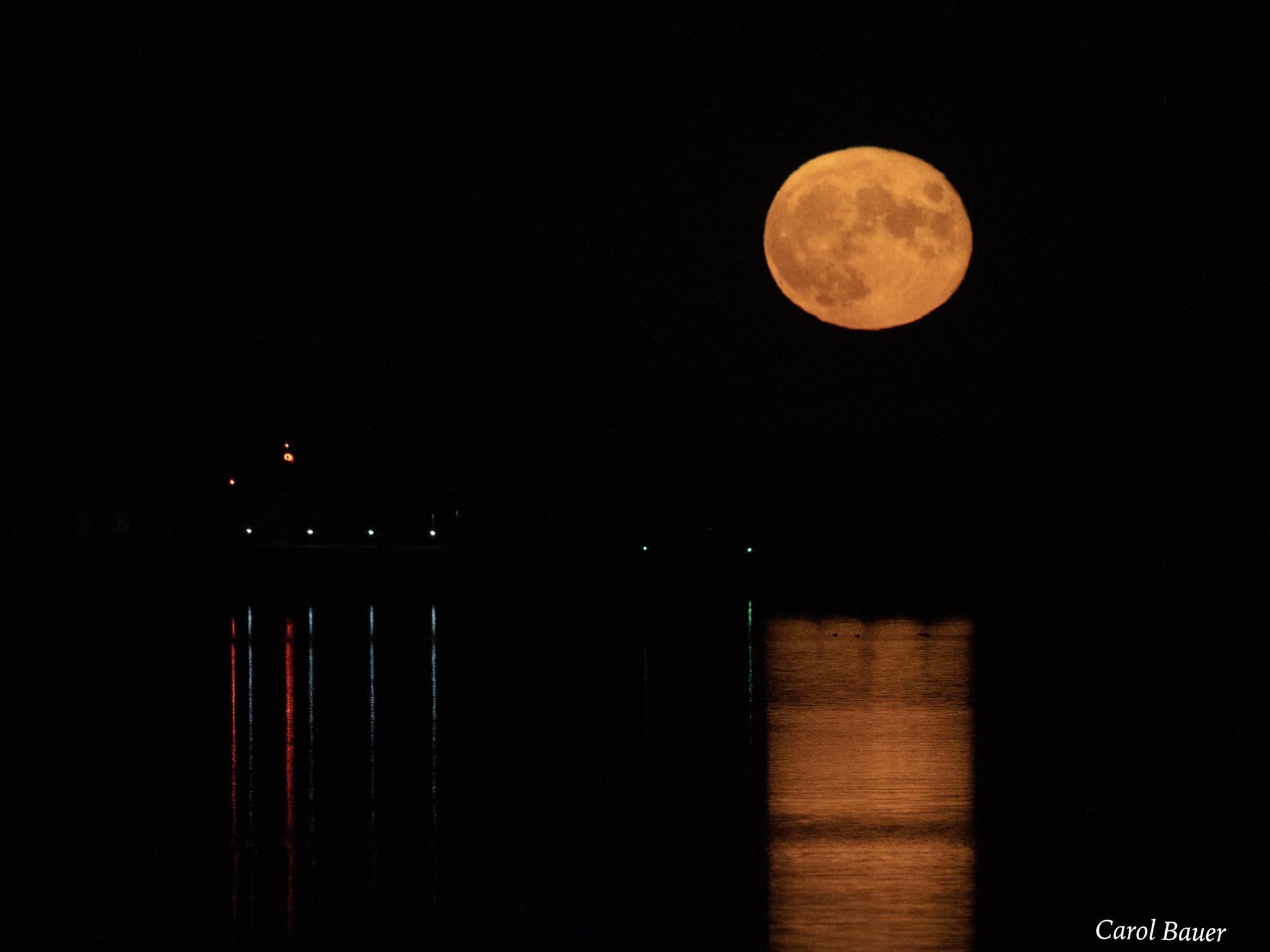 明尼苏达州的收获月。(图片来源:Carol Bauer)