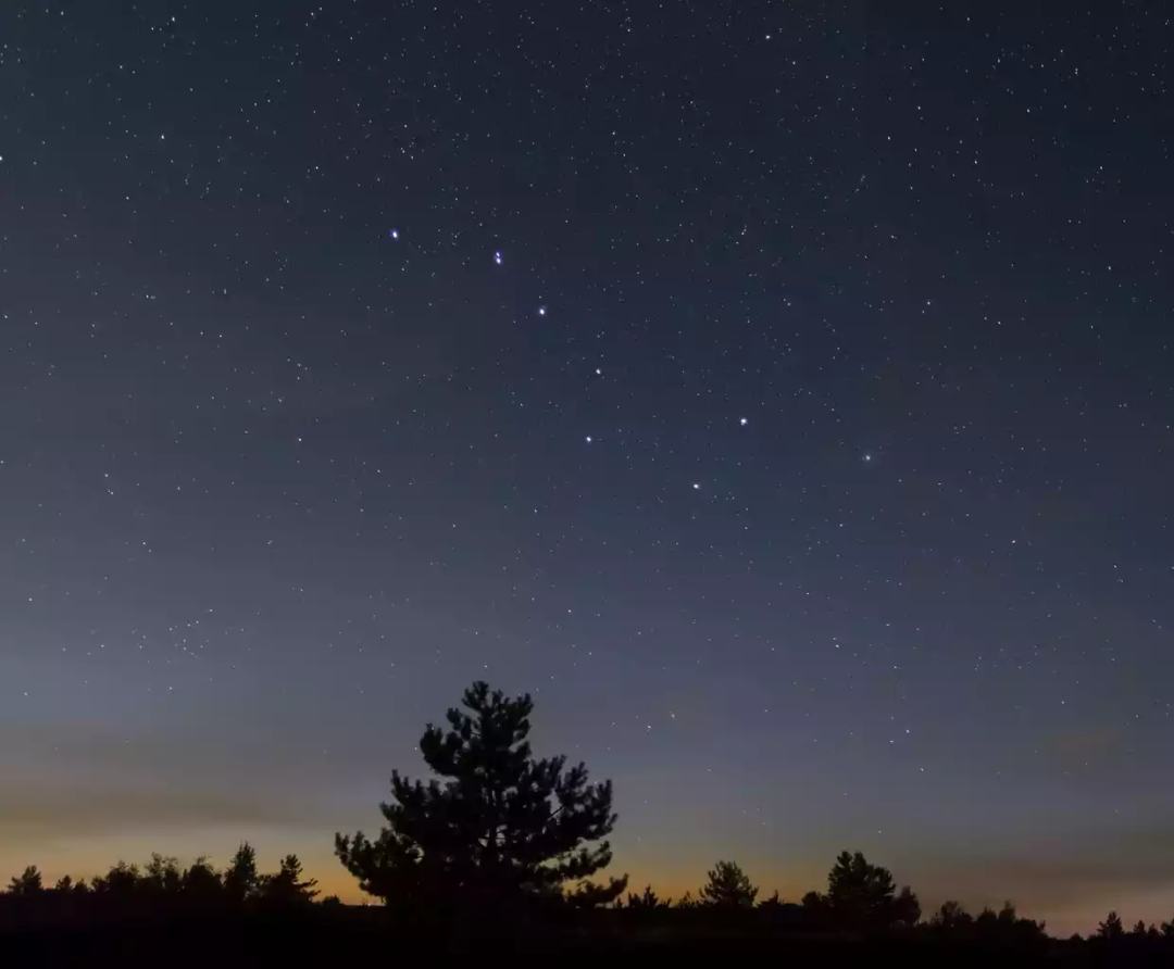 大熊座。来源：Yuriy Kulik