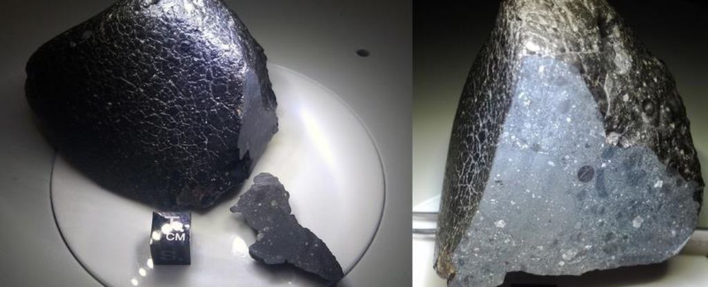 火星陨石NWA 7034,又名“黑美人”。图片来源:Institute of Meteoritics, UNM