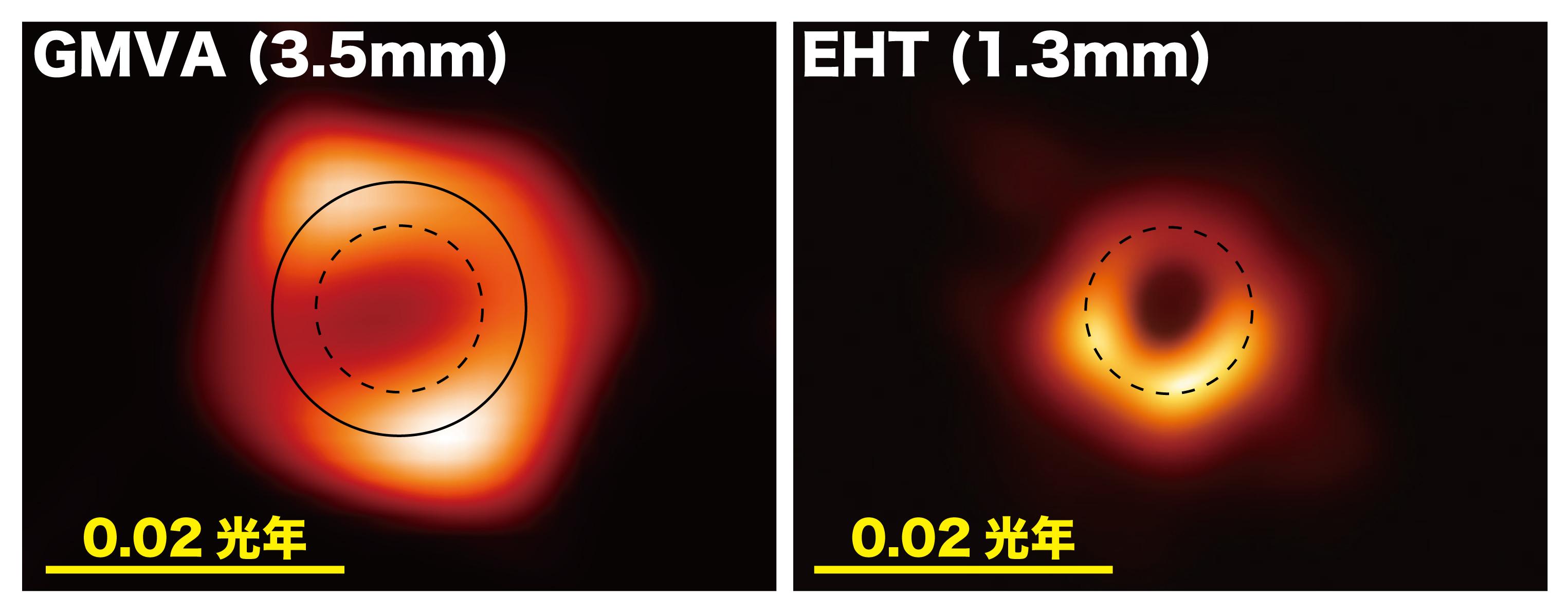不同波长观测的M87黑洞阴影影像,左:GMVA(3.5毫米),右:EHT(1.3毫米)。图片来源:Lu, Asada, et al. (2023); the EHT Collaboration; composition by F. Tazaki
